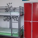 艺术旅舍 旅馆 克拉科夫