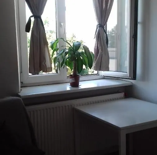 アート ホステル *